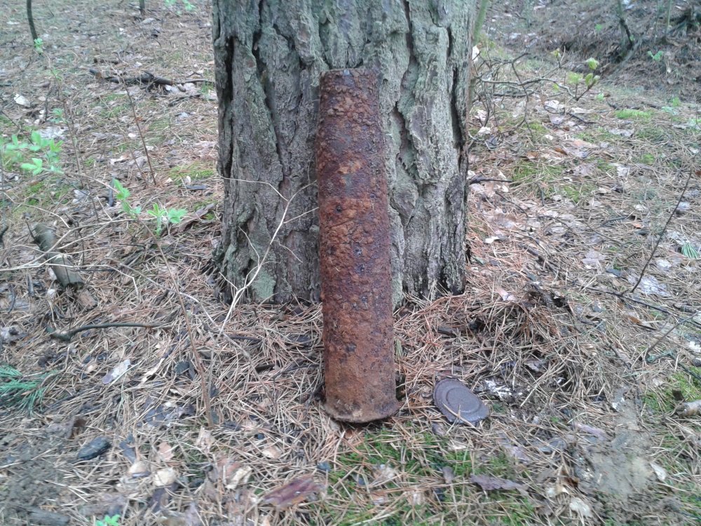 20130501_133708.jpg
