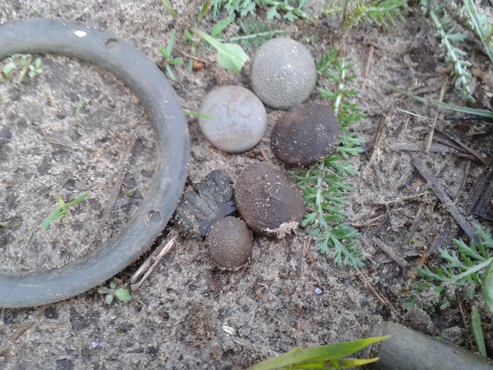 20130501_192314.jpg