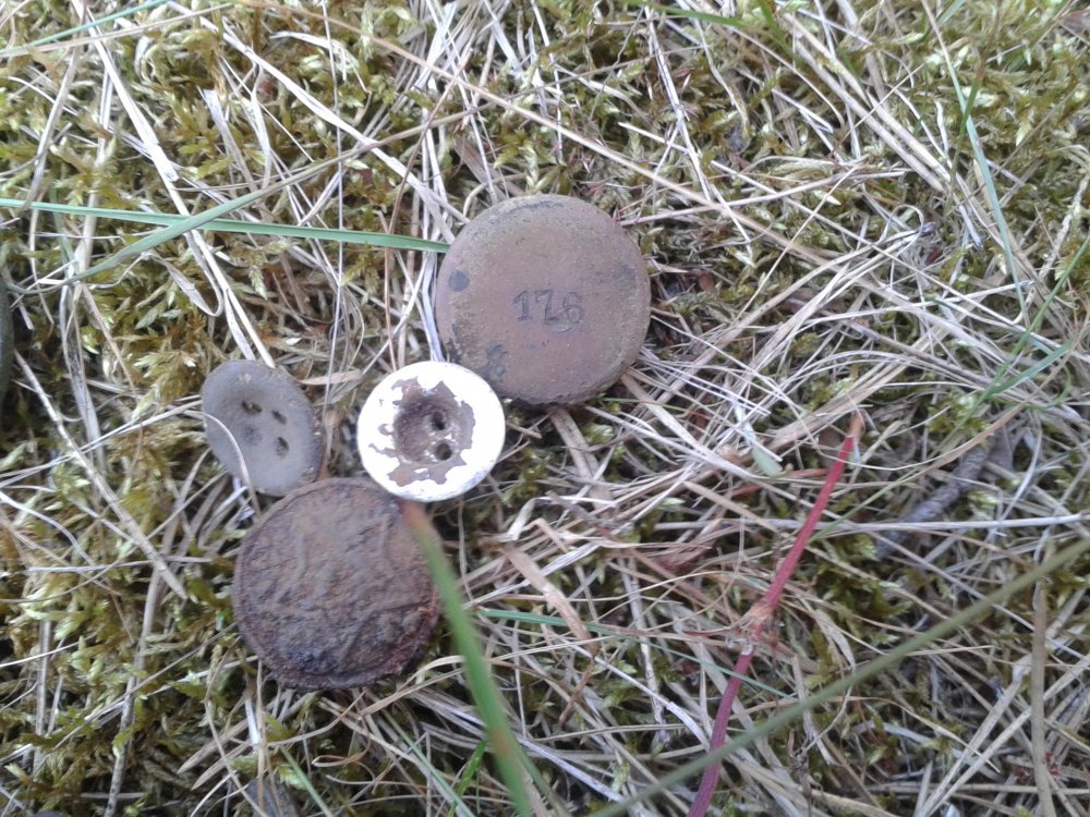 20130705_201052.jpg