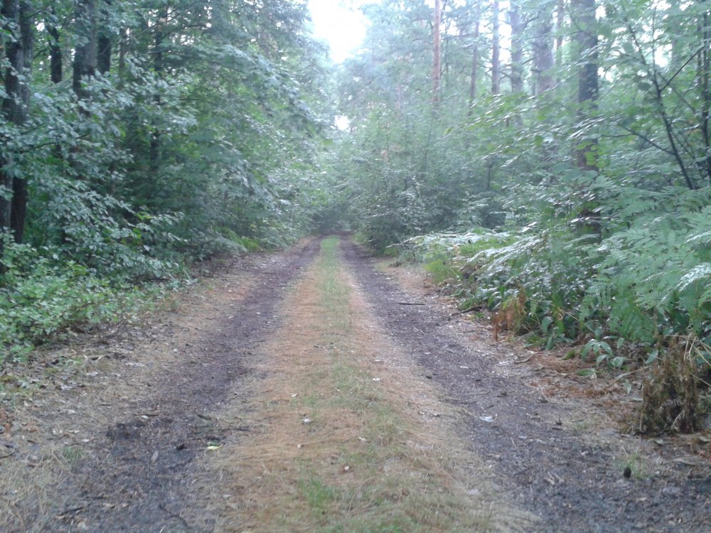 20130712_175323.jpg
