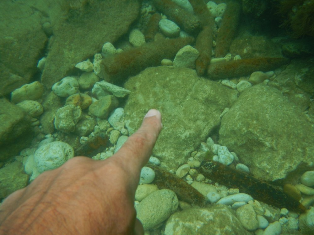 201307421990.jpg