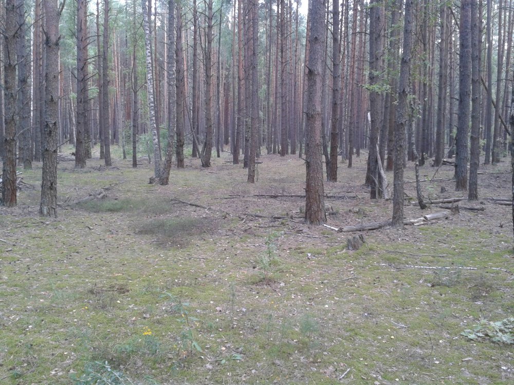 20130811_160705.jpg