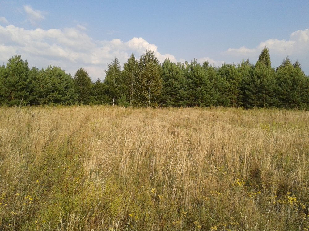 20130811_171826.jpg