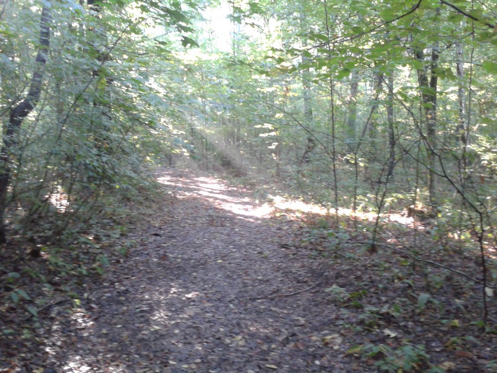 20130901_082110.jpg