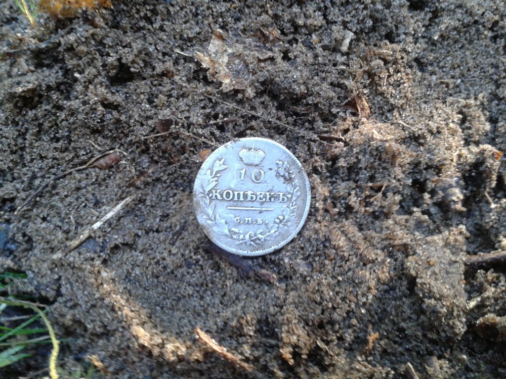 20130901_085325.jpg