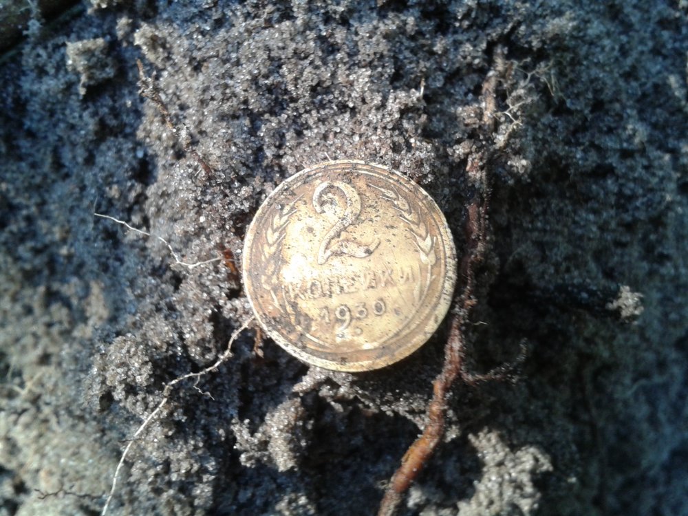 20130901_085612.jpg