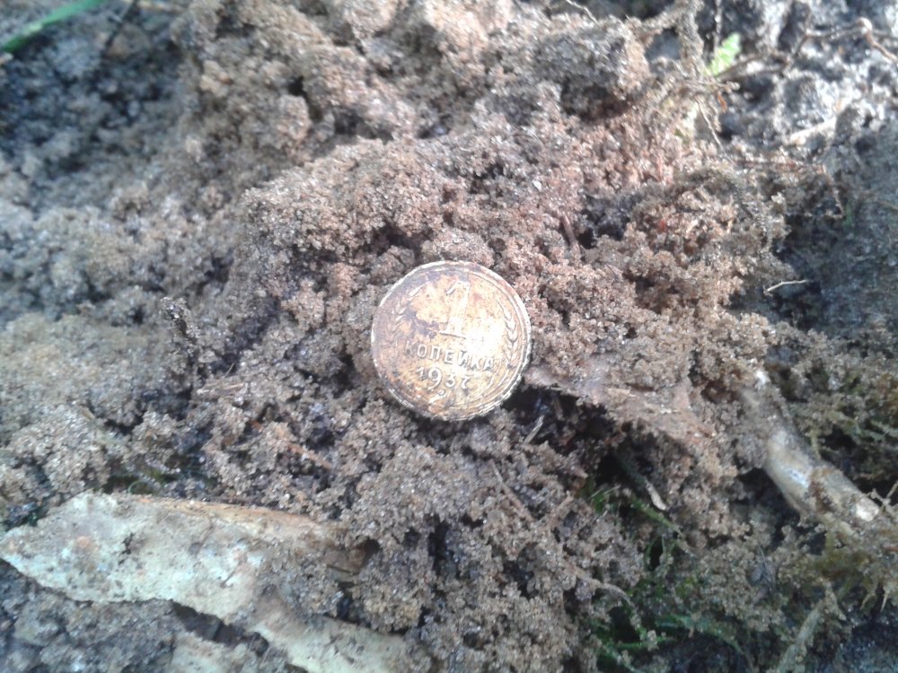 20130901_094443.jpg