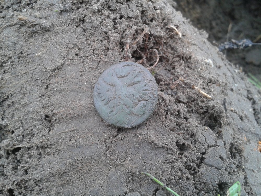 20130914_121208.jpg