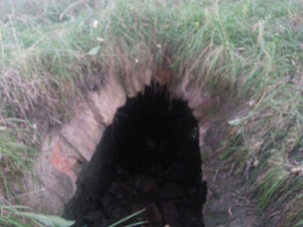 20130929_185153.jpg