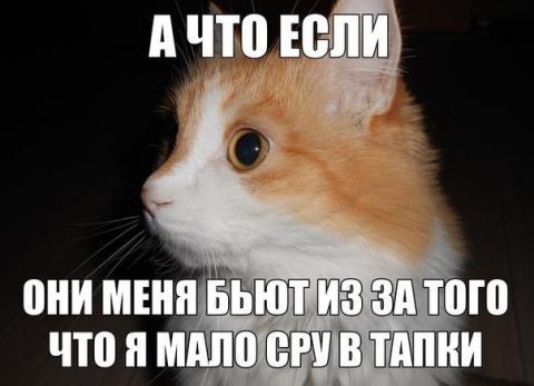 20132205100521.jpg
