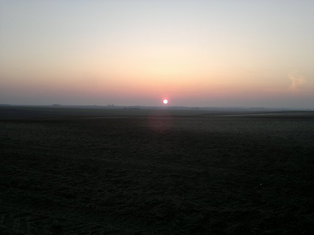 2014-03-10-3123.jpg