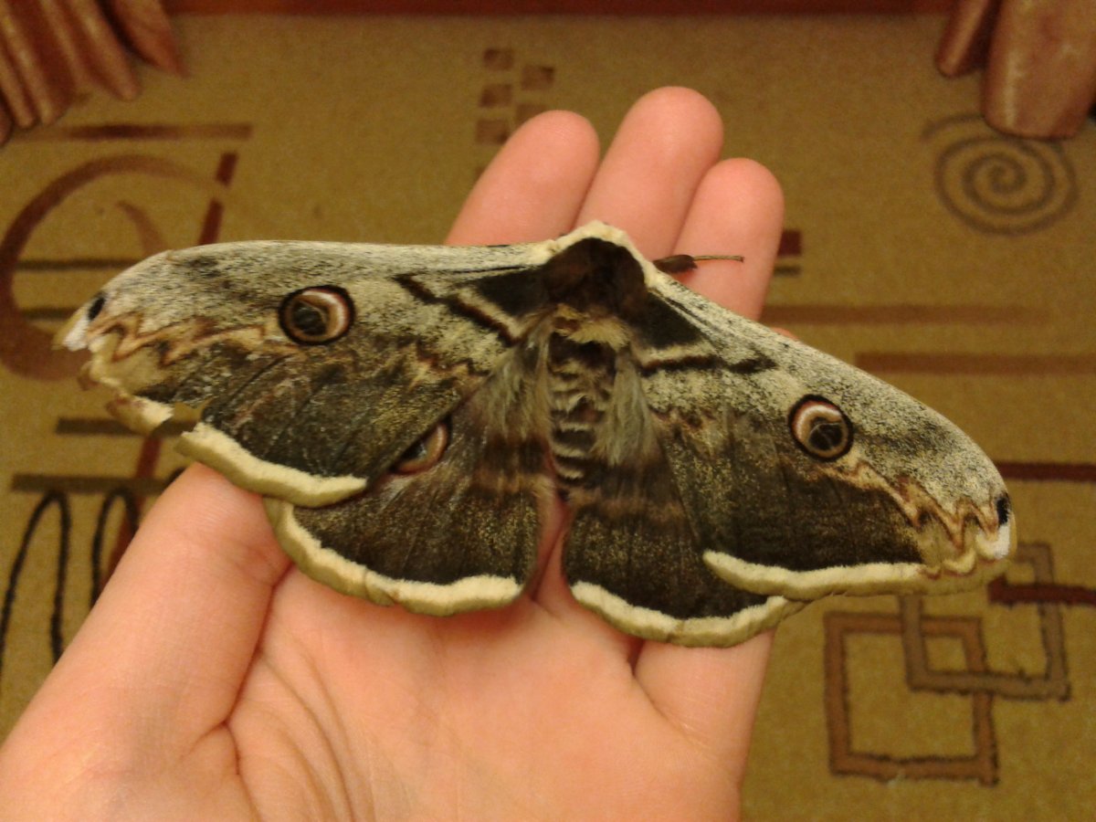 2014-05-02 23.51.06.jpg