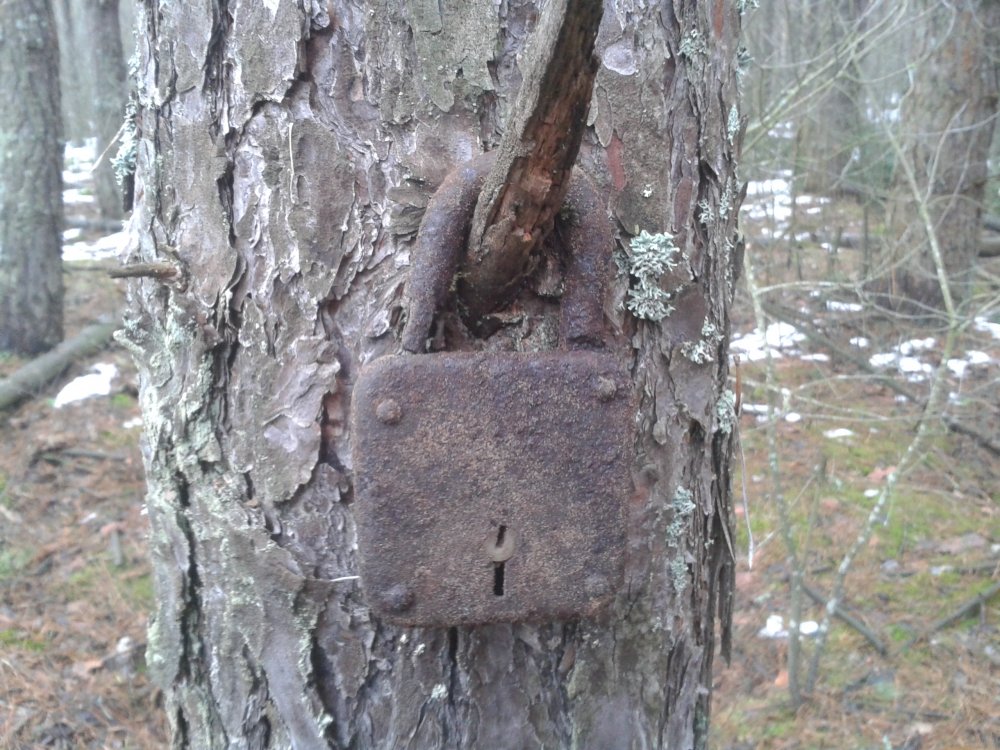 20140104_131041.jpg