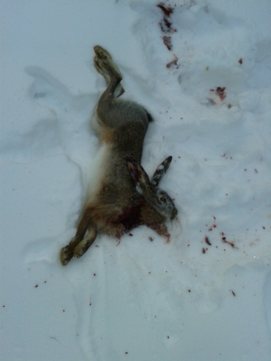 20140127_160833.jpg