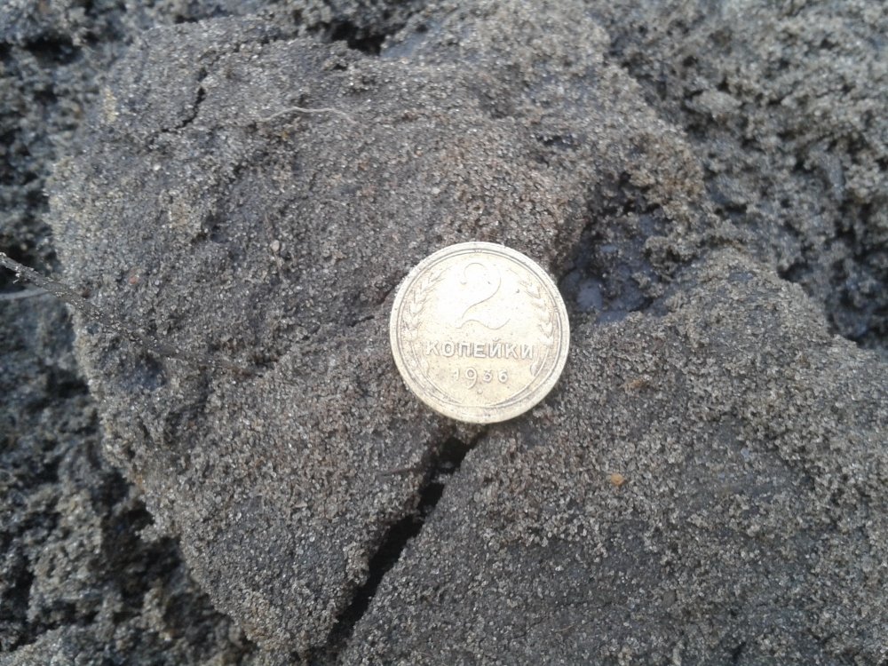 20140325_110516.jpg