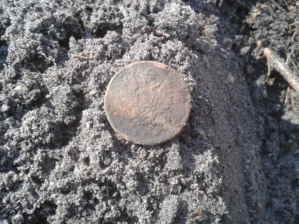 20140325_114413.jpg