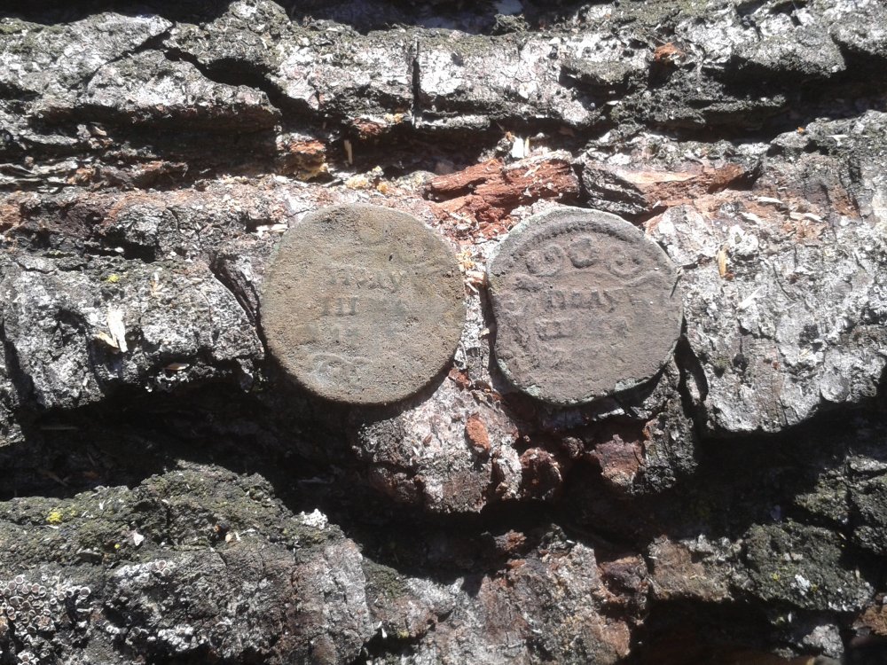 20140325_120328.jpg