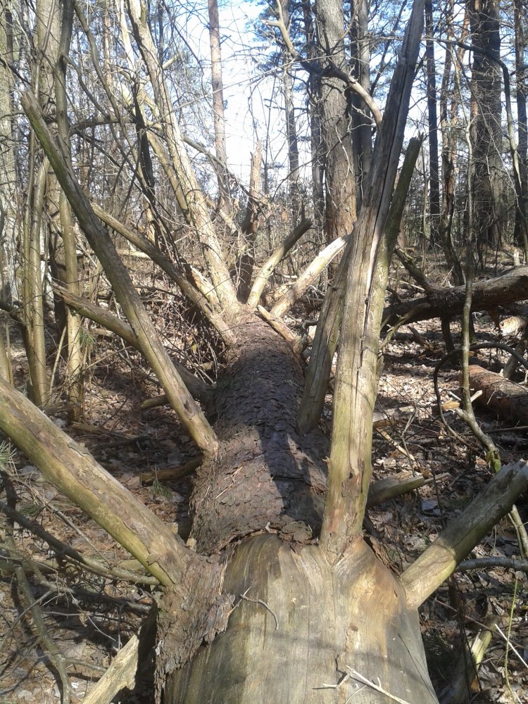 20140325_122105.jpg