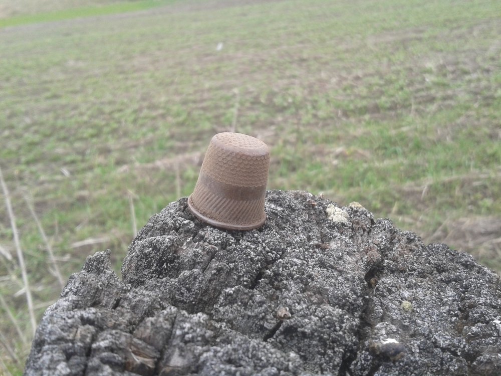 20140412_113020.jpg