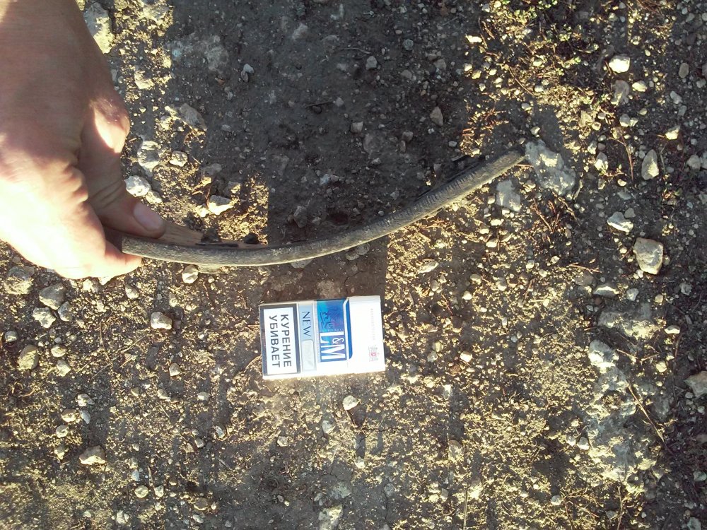 20140928_182213.jpg