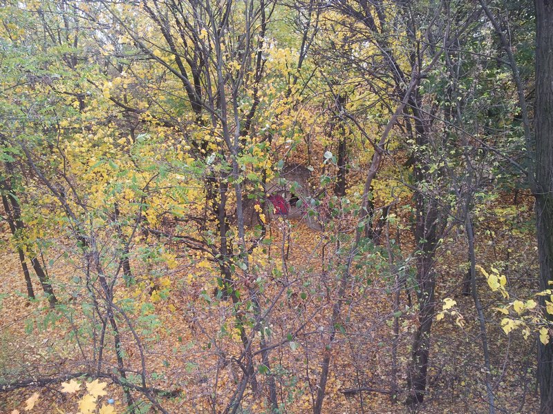 20141021_153929.jpg