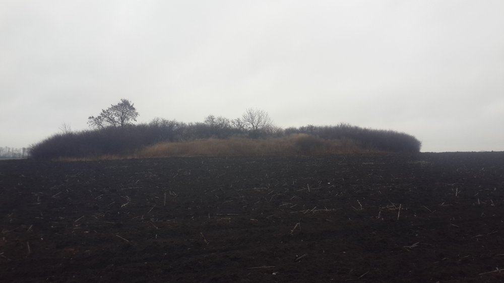 20141223_135929.jpg