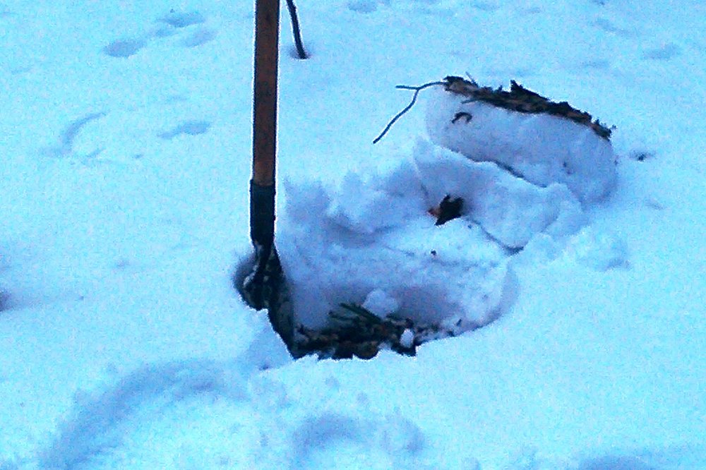 2015-02-21 11-26-51.JPG