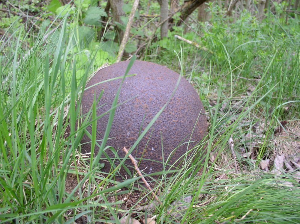2015 028.jpg