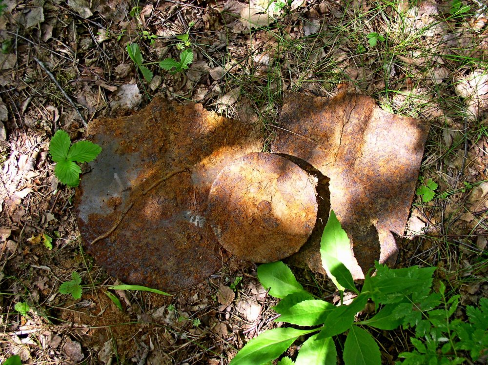 2015-2 004.jpg