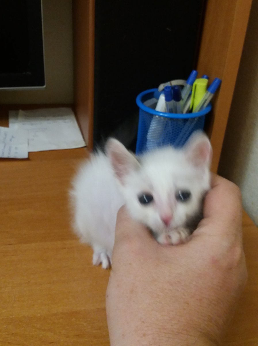 20150117_155233.jpg
