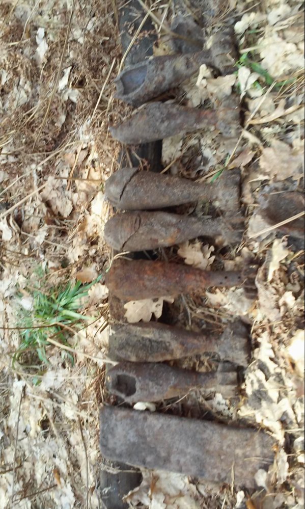 20150310_121024.jpg