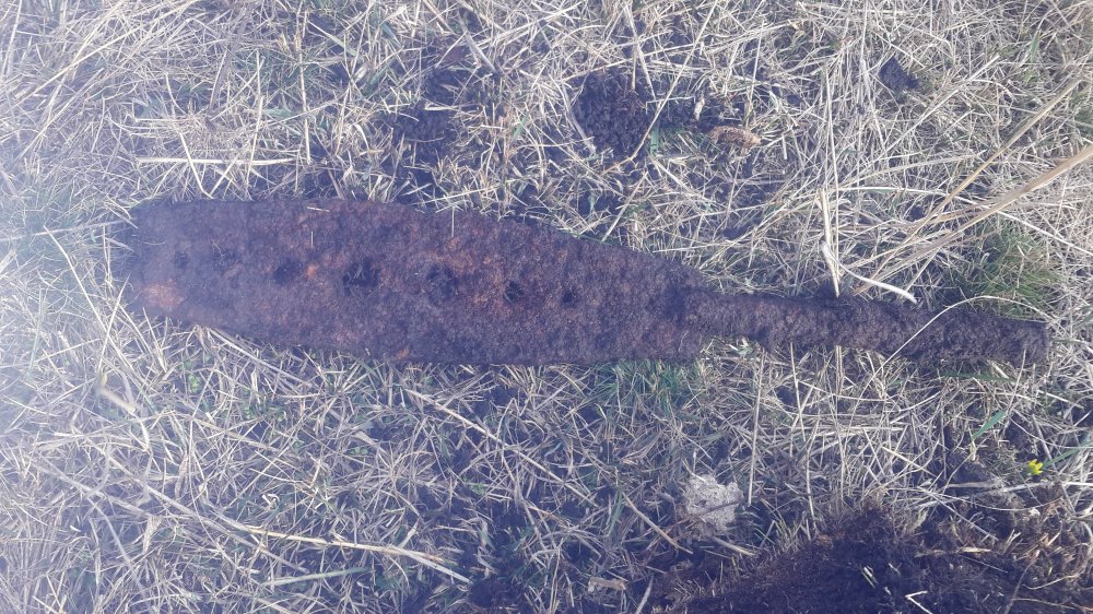 20150315_144521.jpg