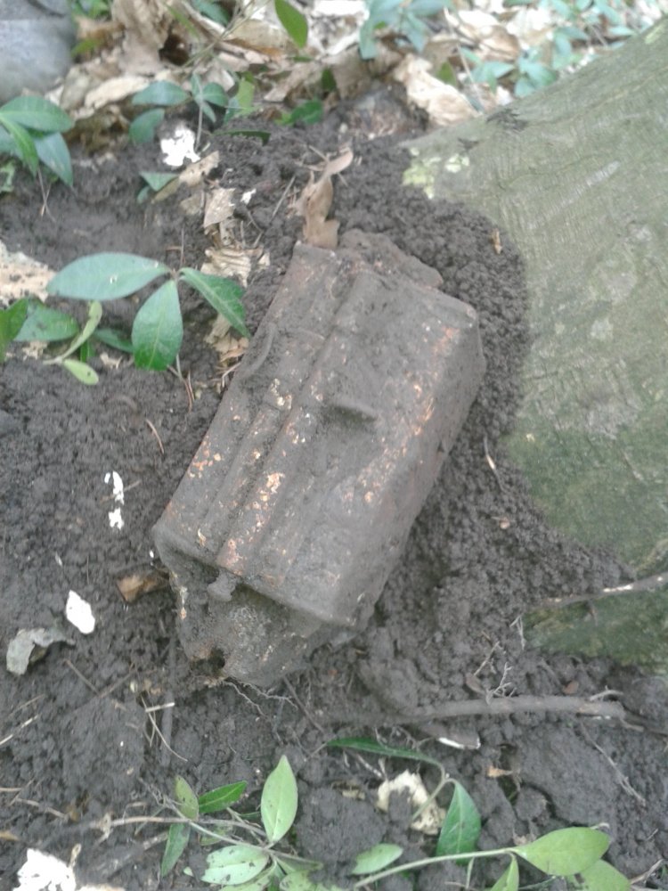 20150318_113041.jpg