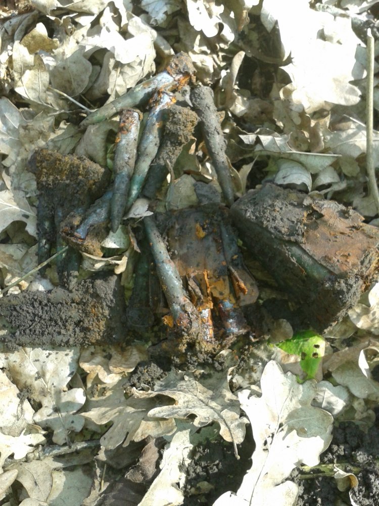 20150321_114501.jpg