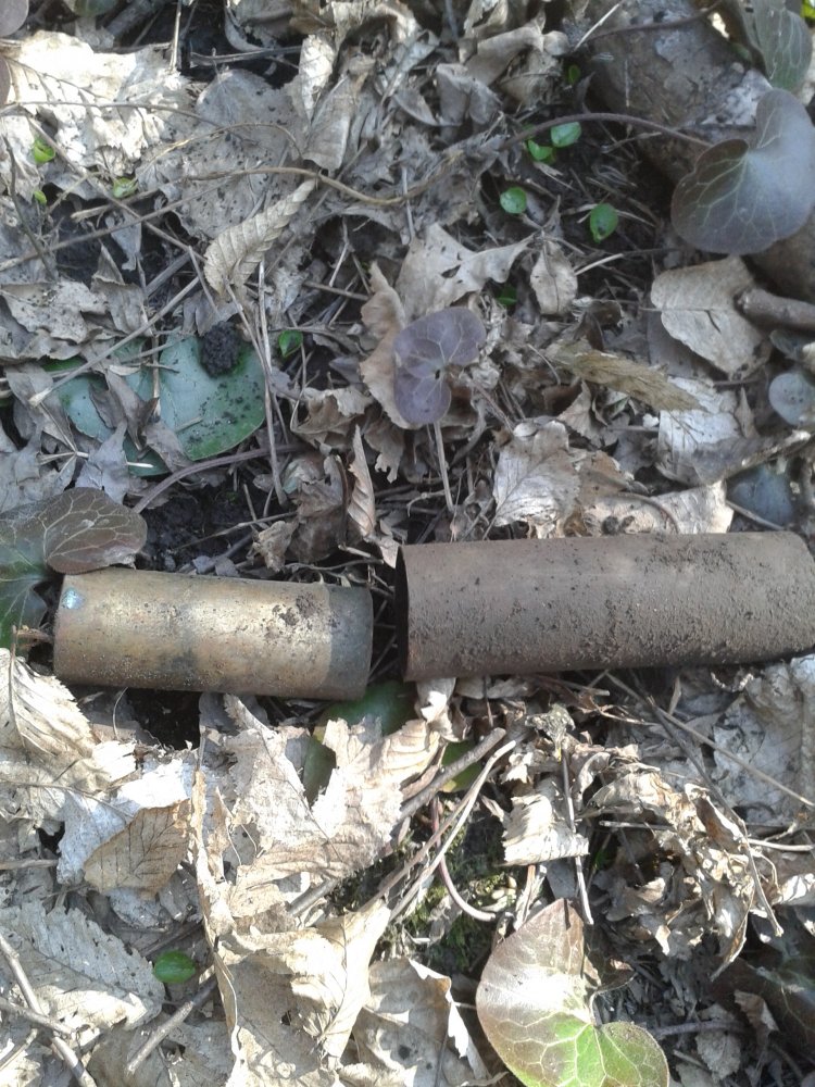 20150324_153824.jpg