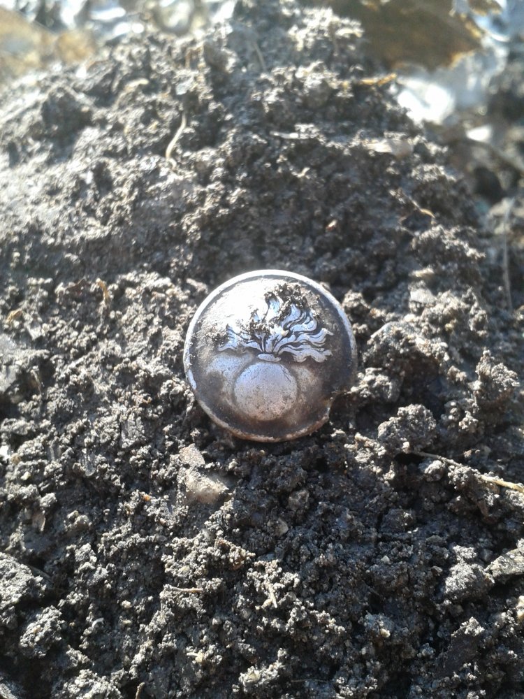 20150324_155850.jpg