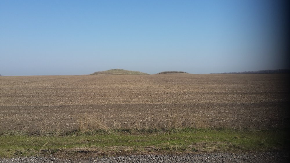 20150412_094643.jpg