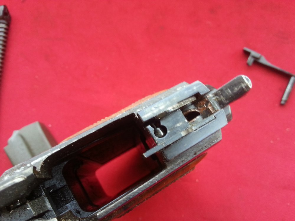 20150424_115513.jpg