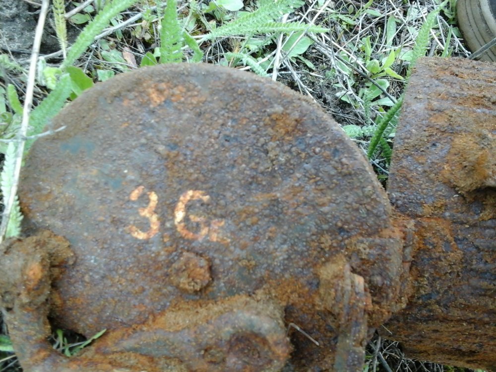 20150508_161908 (1).jpg