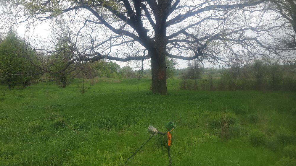 20150509_104342.jpg