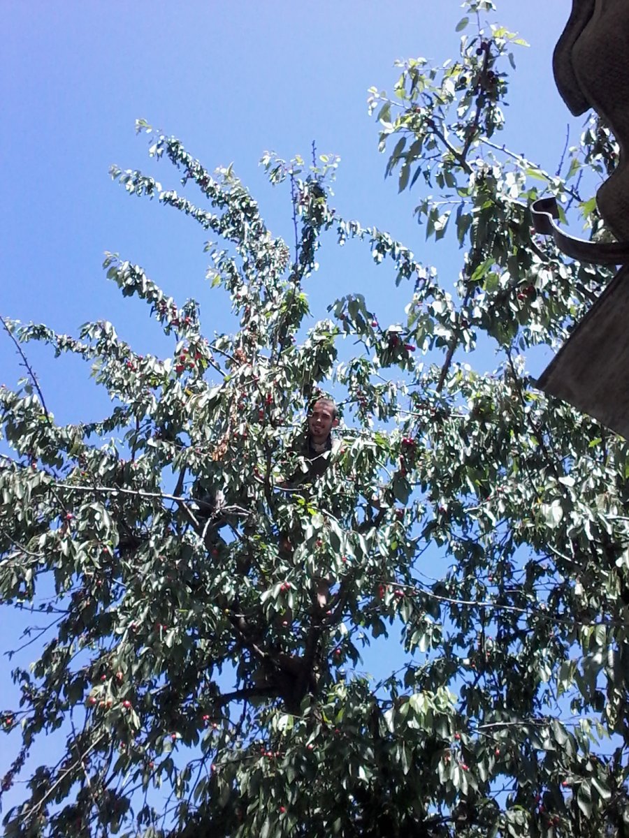 20150608_134003.jpg