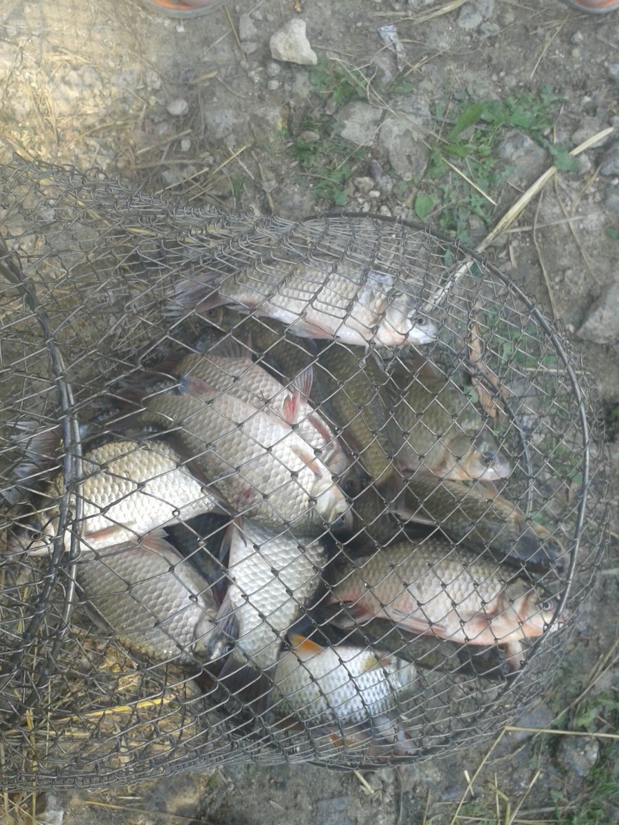 20150722_105836.jpg