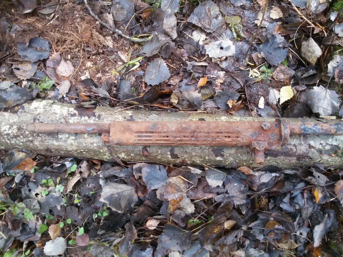 20151101_144345.jpg