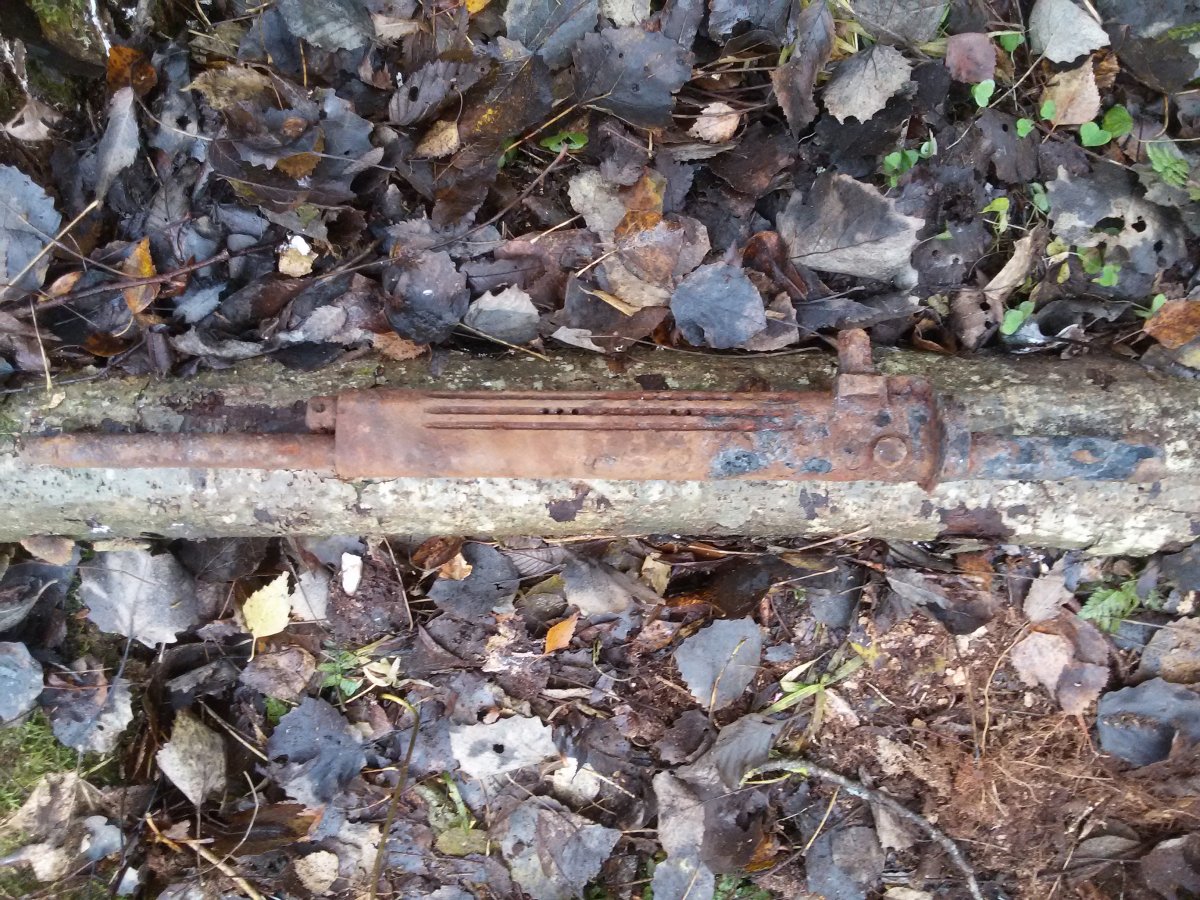 20151101_144409.jpg