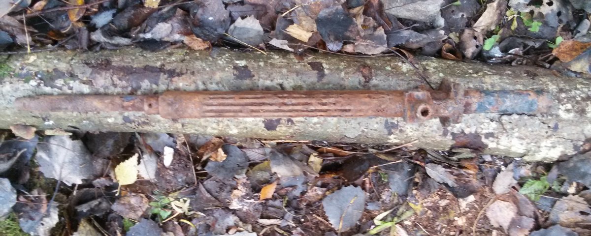 20151101_144426.jpg