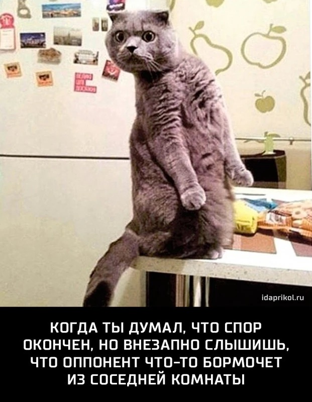 2016-10-23 08.32.JPG