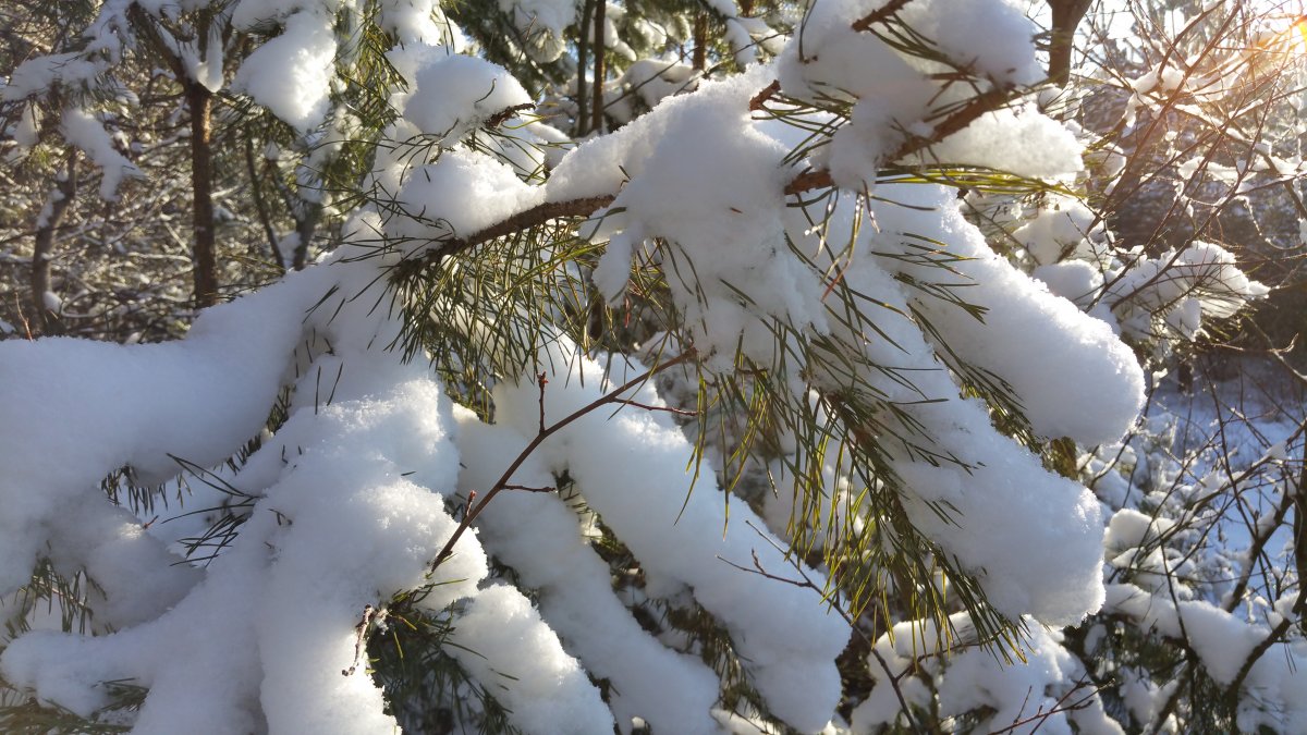 20160123_101212.jpg