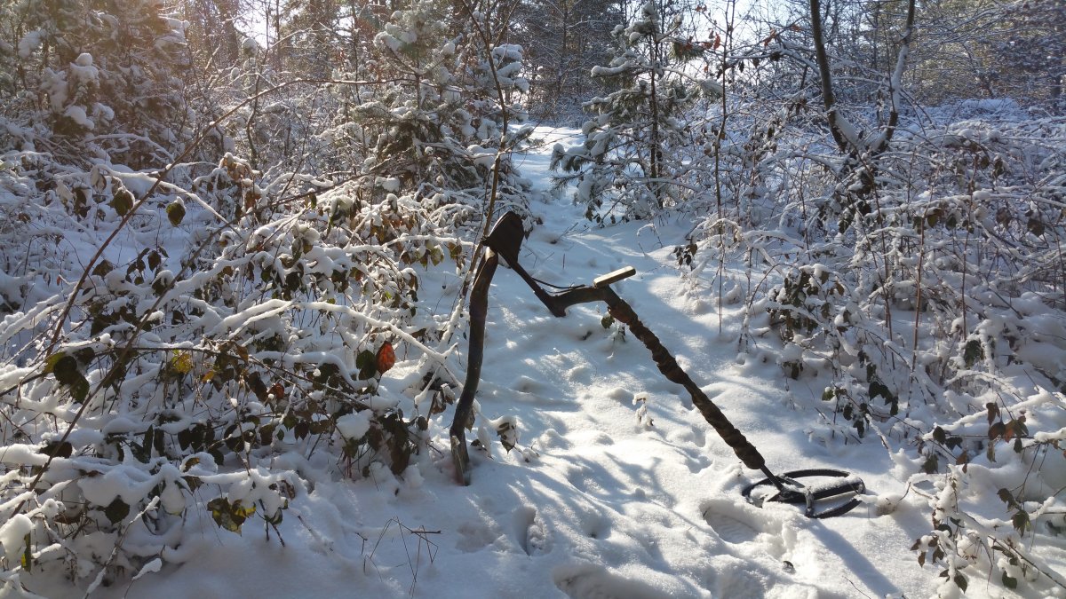 20160123_113827.jpg