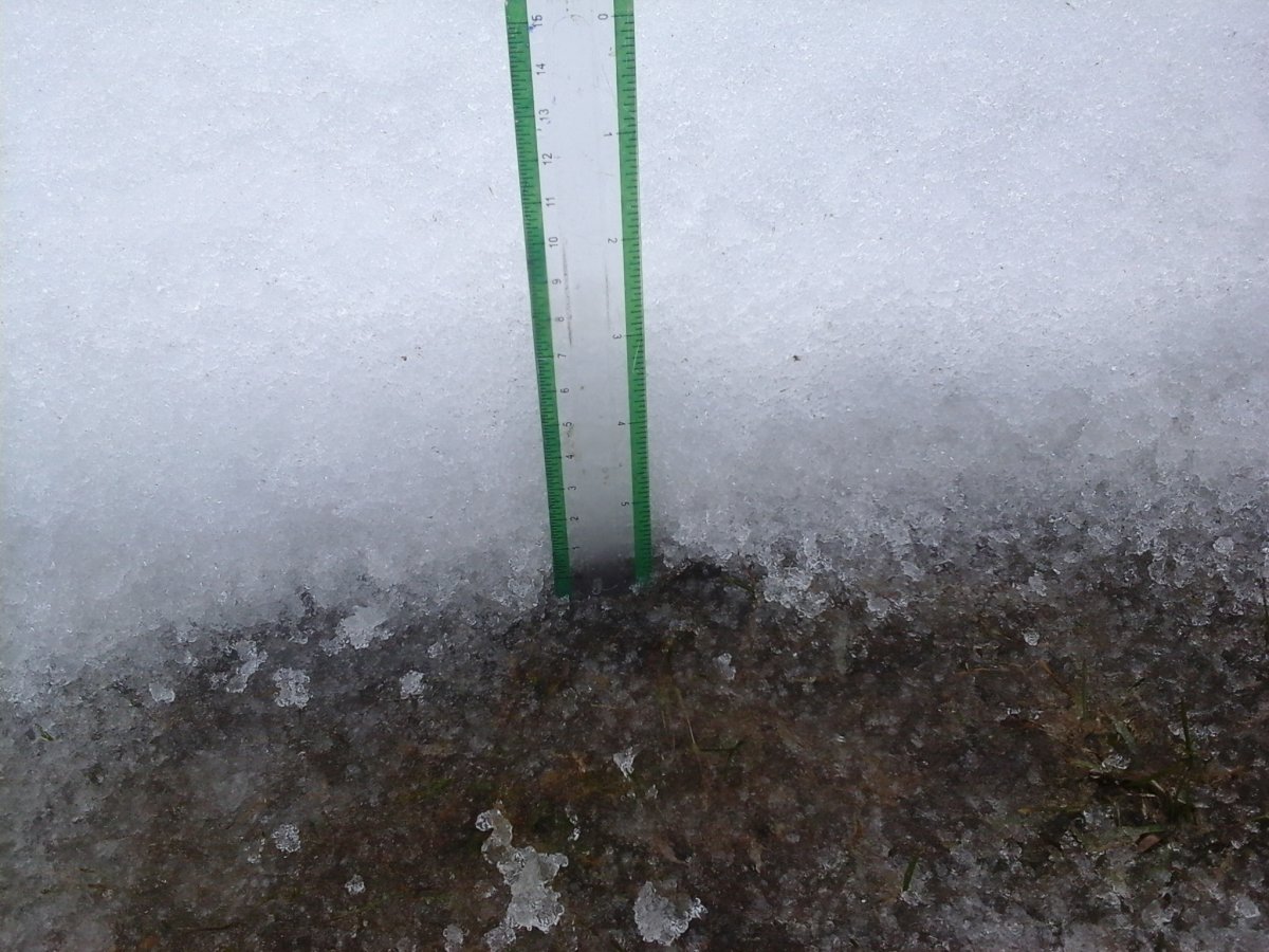 20160211_154944.jpg
