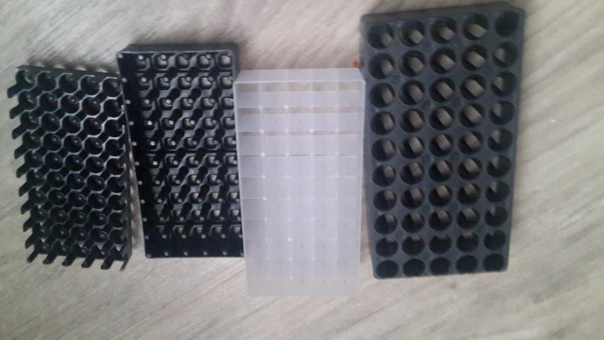 20160317_111349.jpg